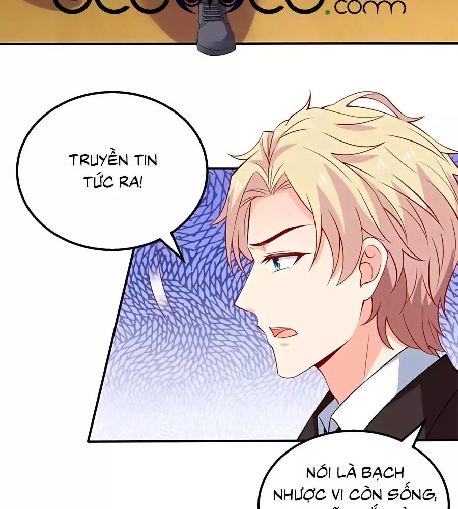 Một Thai Hai Bảo : Đưa Mami Về Nhà ! Chapter 295 - Trang 2