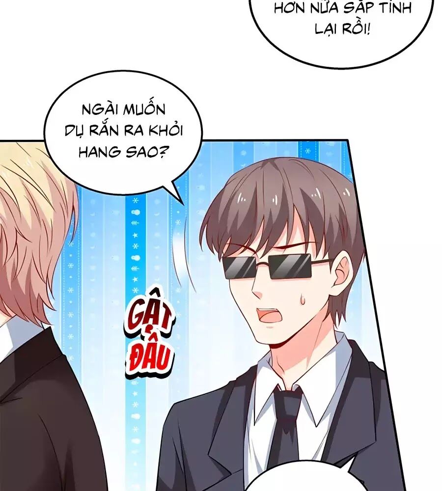 Một Thai Hai Bảo : Đưa Mami Về Nhà ! Chapter 295 - Trang 2