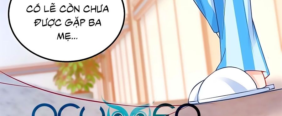 Một Thai Hai Bảo : Đưa Mami Về Nhà ! Chapter 309 - Trang 2