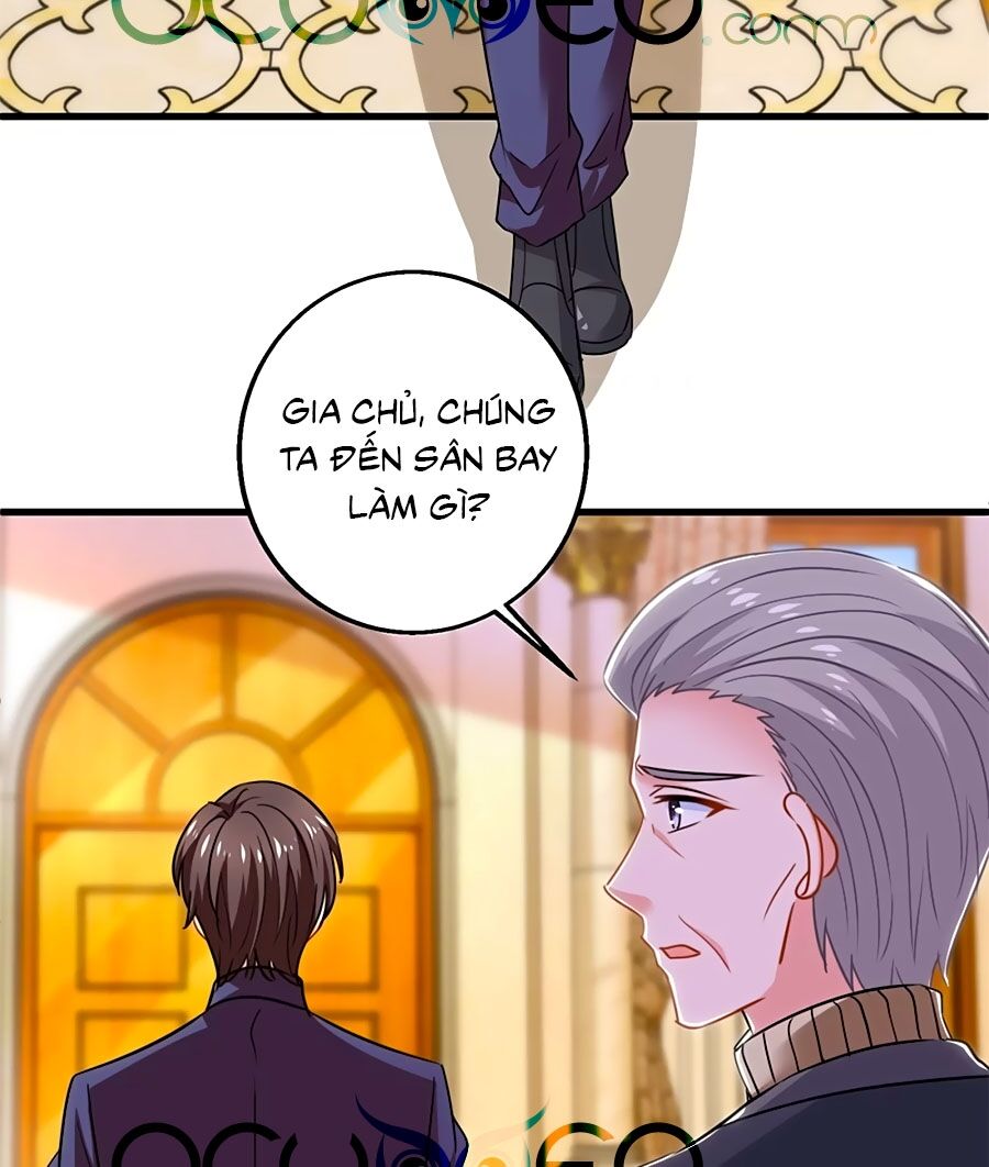 Một Thai Hai Bảo : Đưa Mami Về Nhà ! Chapter 313 - Trang 2