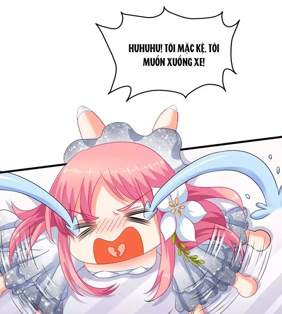 Một Thai Hai Bảo : Đưa Mami Về Nhà ! Chapter 43 - Trang 2