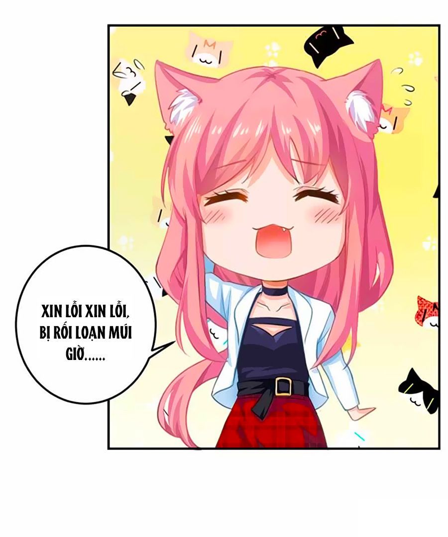 Một Thai Hai Bảo : Đưa Mami Về Nhà ! Chapter 5 - Trang 2