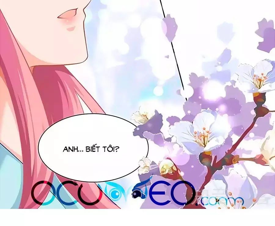 Một Thai Hai Bảo : Đưa Mami Về Nhà ! Chapter 69 - Trang 2