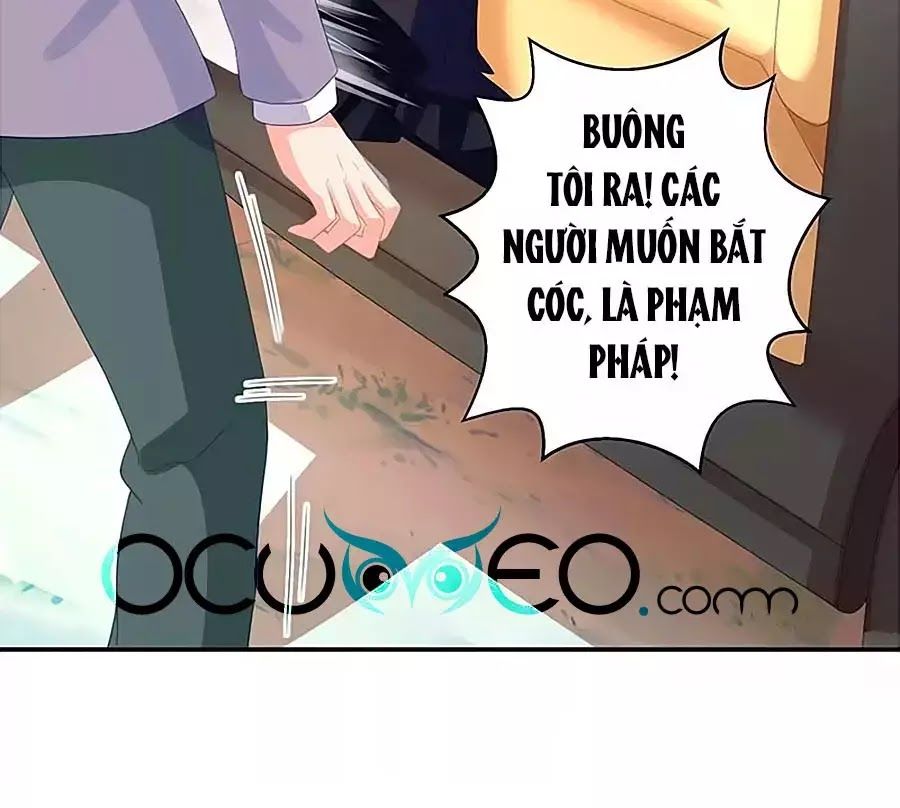 Một Thai Hai Bảo : Đưa Mami Về Nhà ! Chapter 76 - Trang 2