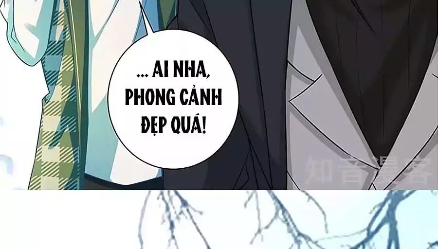 Một Thai Hai Bảo : Đưa Mami Về Nhà ! Chapter 81 - Trang 2