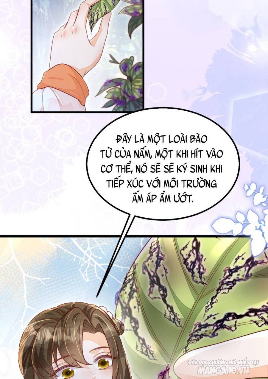 Một Trăm Lẻ Tám Cách Bày Trò Của Nhân Vật Phản Diện Chapter 124 - Trang 2