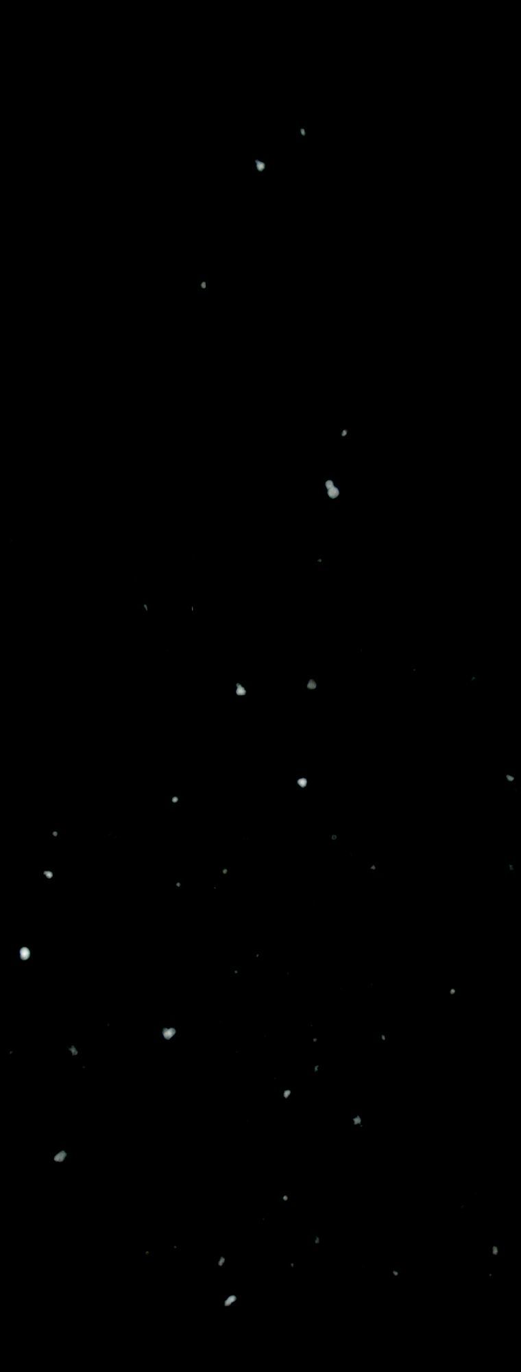 Mùa Đông Tăm Tối Chapter 11 - Trang 2