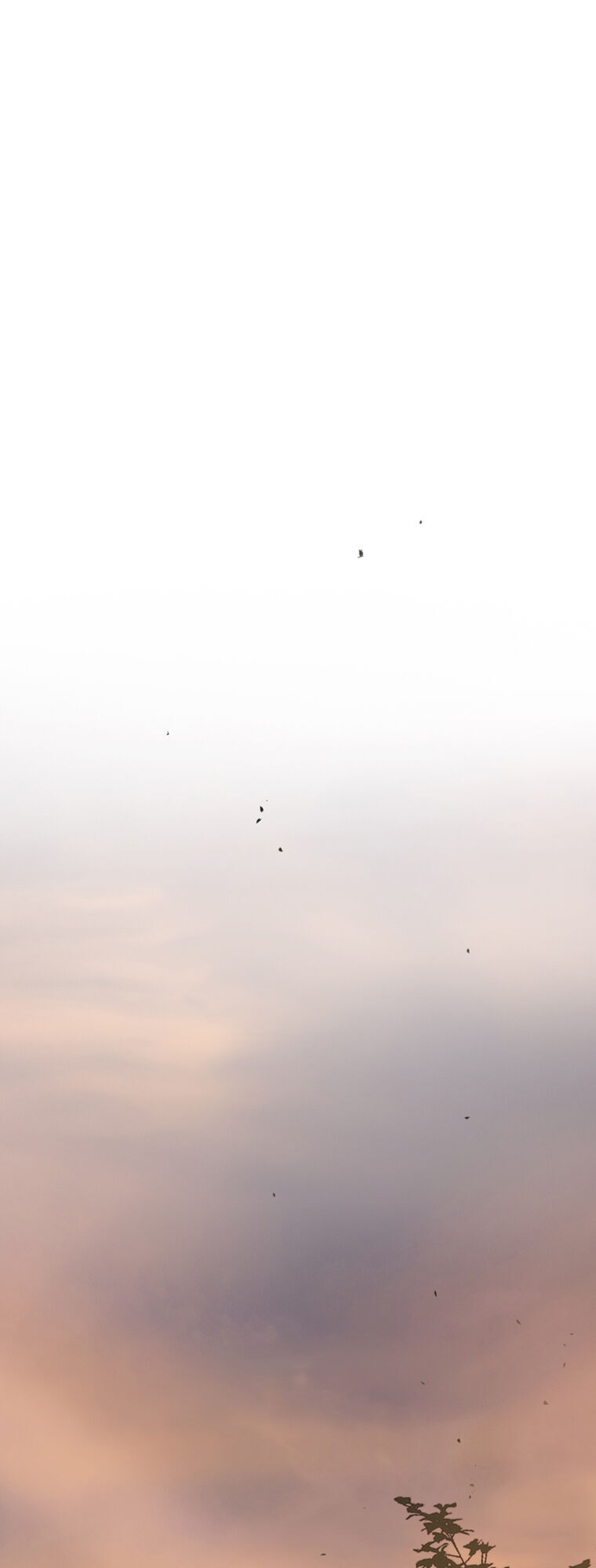 Mùa Đông Tăm Tối Chapter 24 - Trang 2