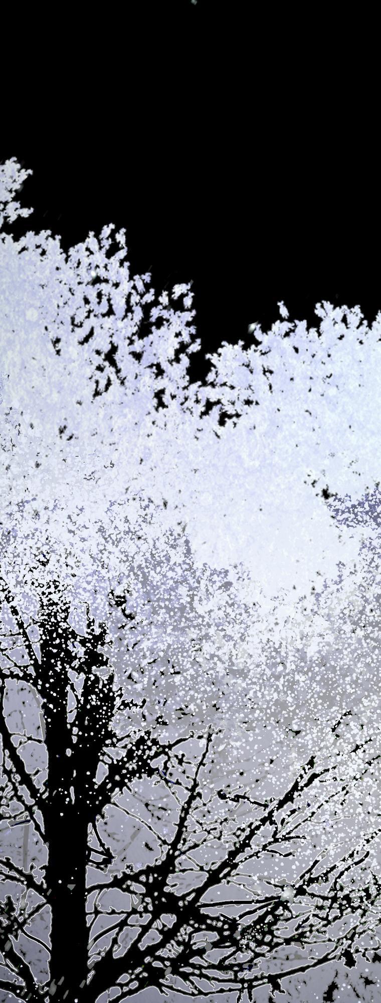 Mùa Đông Tăm Tối Chapter 5 - Trang 2