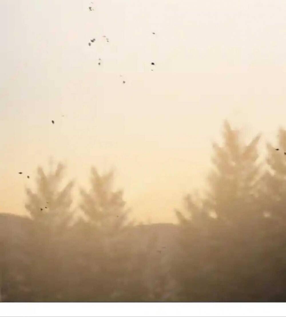 Mùa Đông Tăm Tối Chapter 58 - Trang 2