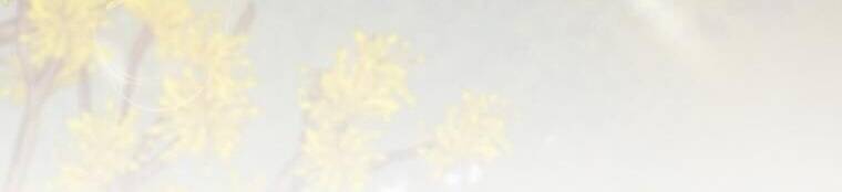 Mùa Đông Tăm Tối Chapter 88 - Trang 2