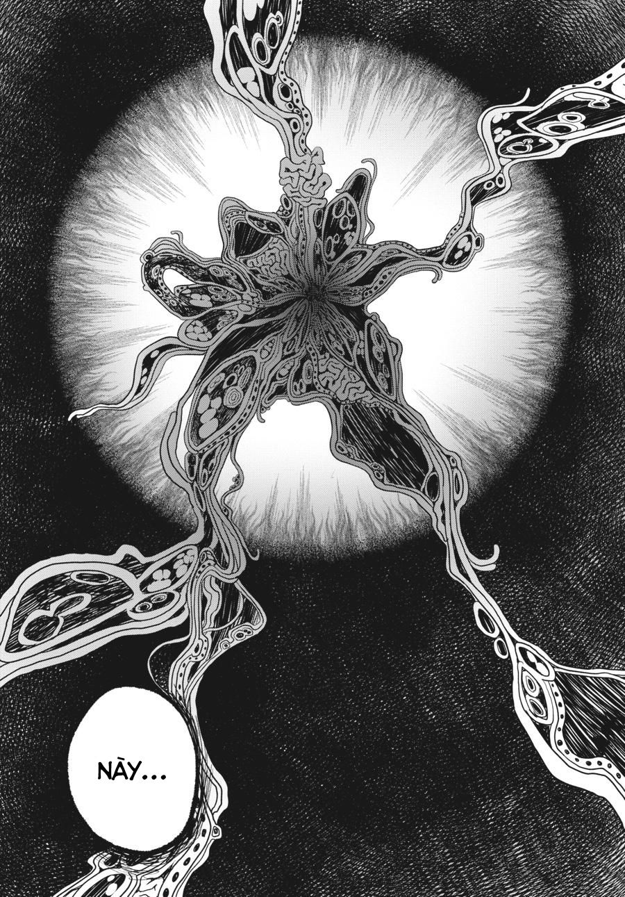 Mùa Hè Hikaru Ra Đi Chapter 15 - Trang 2