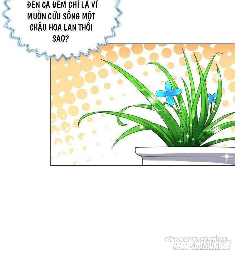 Mục Long Sư Chapter 101 - Trang 2