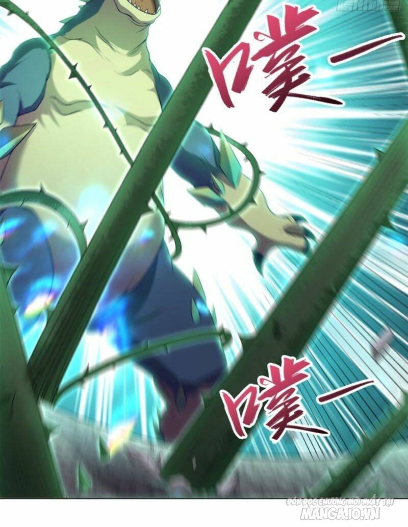 Mục Long Sư Chapter 11 - Trang 2