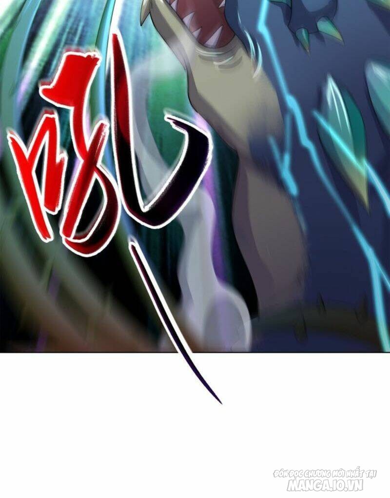 Mục Long Sư Chapter 11 - Trang 2