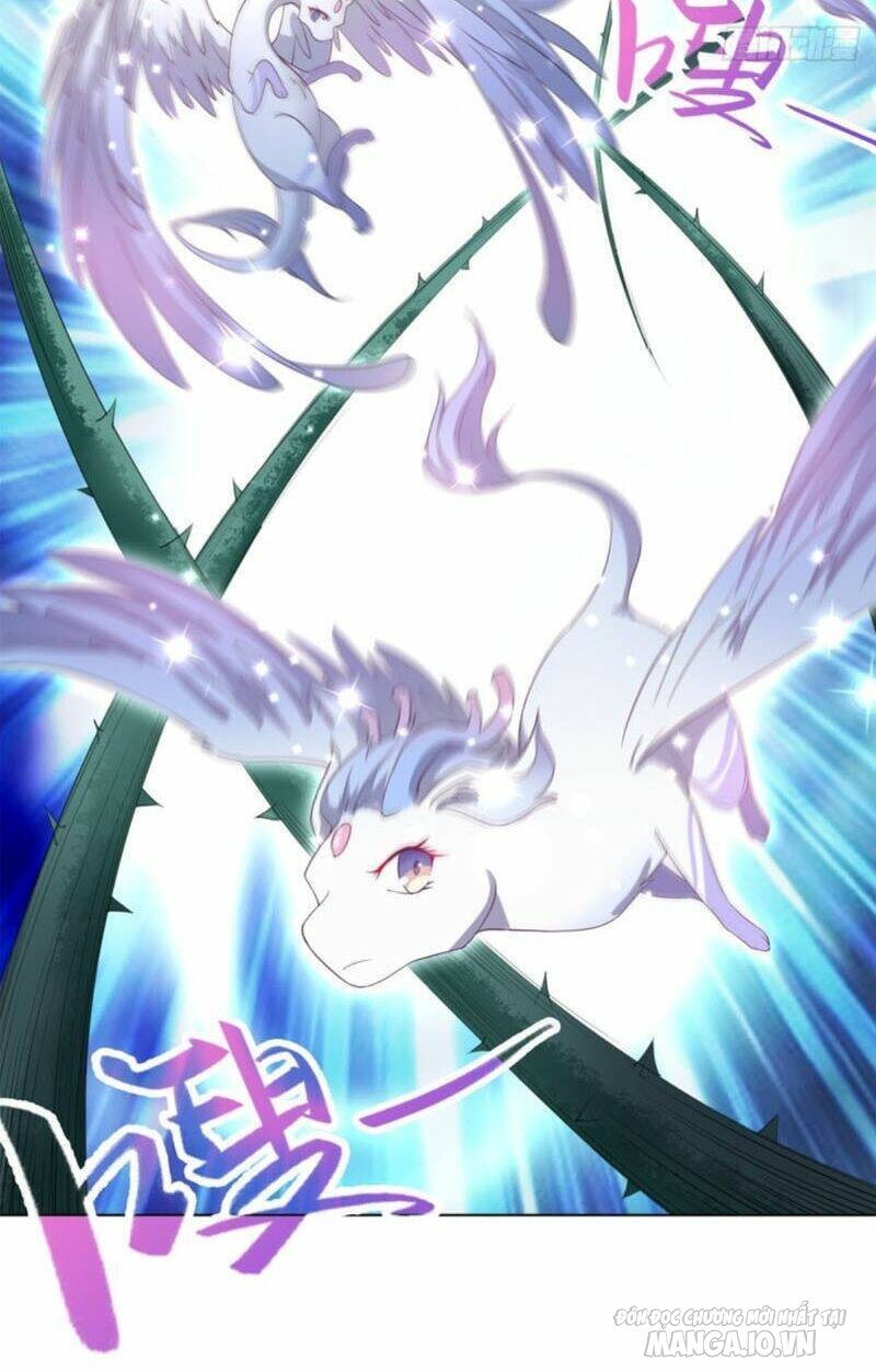 Mục Long Sư Chapter 11 - Trang 2