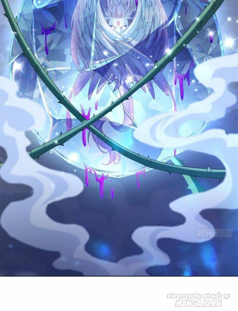 Mục Long Sư Chapter 11 - Trang 2