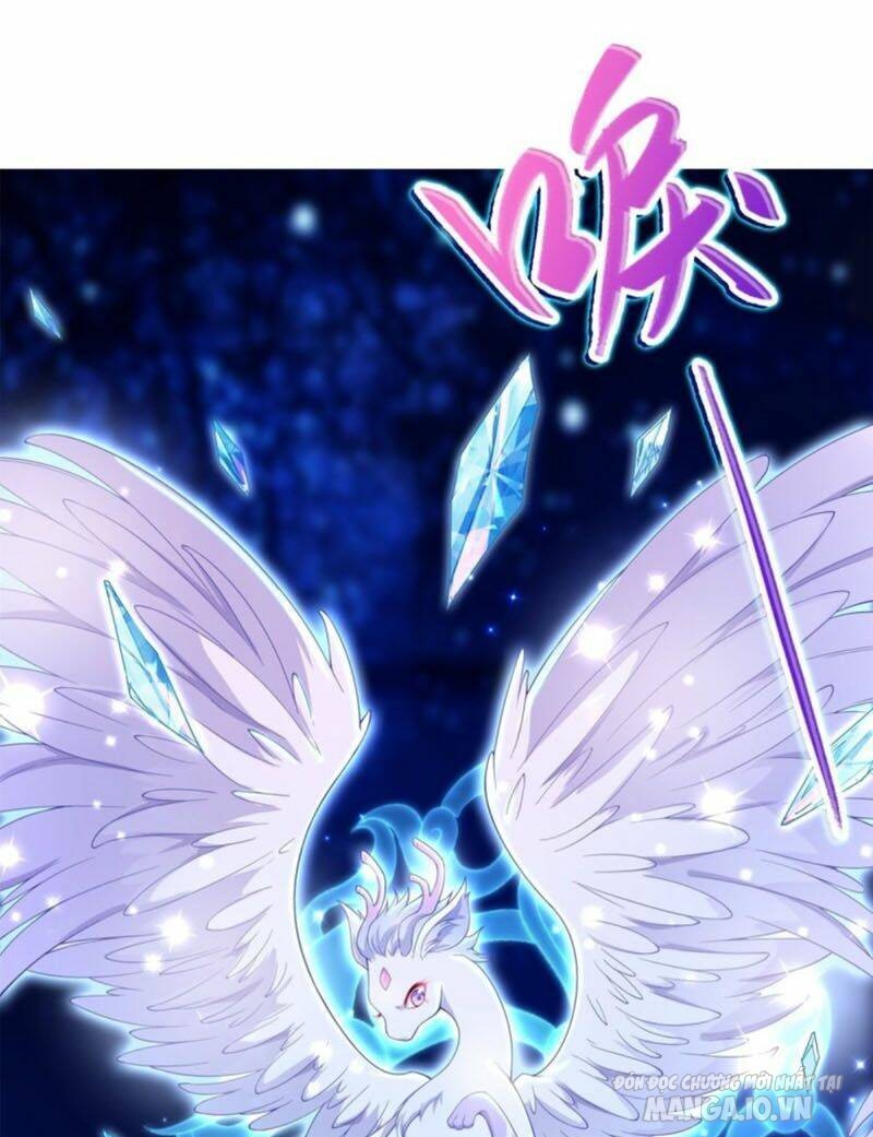 Mục Long Sư Chapter 11 - Trang 2