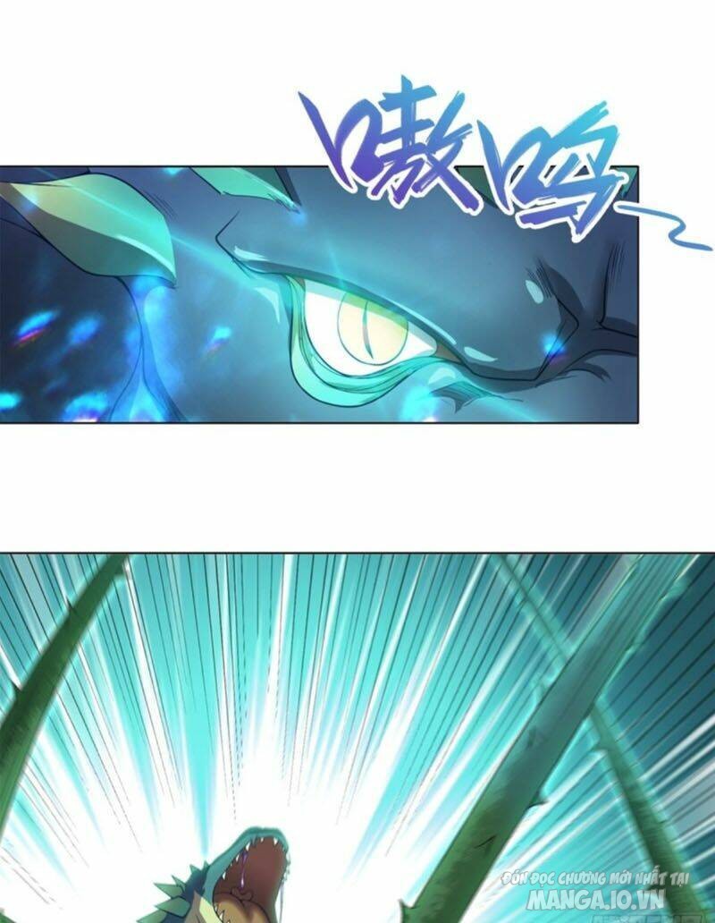 Mục Long Sư Chapter 11 - Trang 2