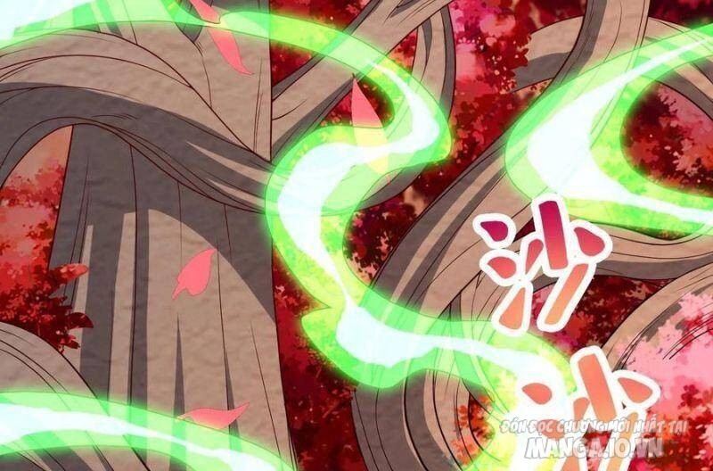 Mục Long Sư Chapter 116 - Trang 2