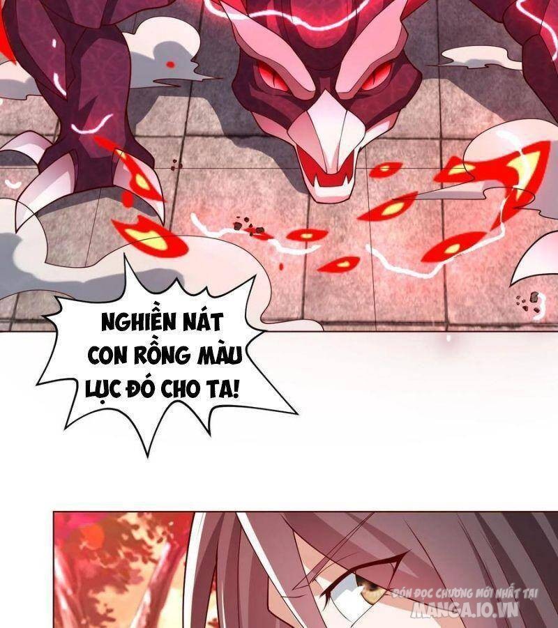 Mục Long Sư Chapter 116 - Trang 2