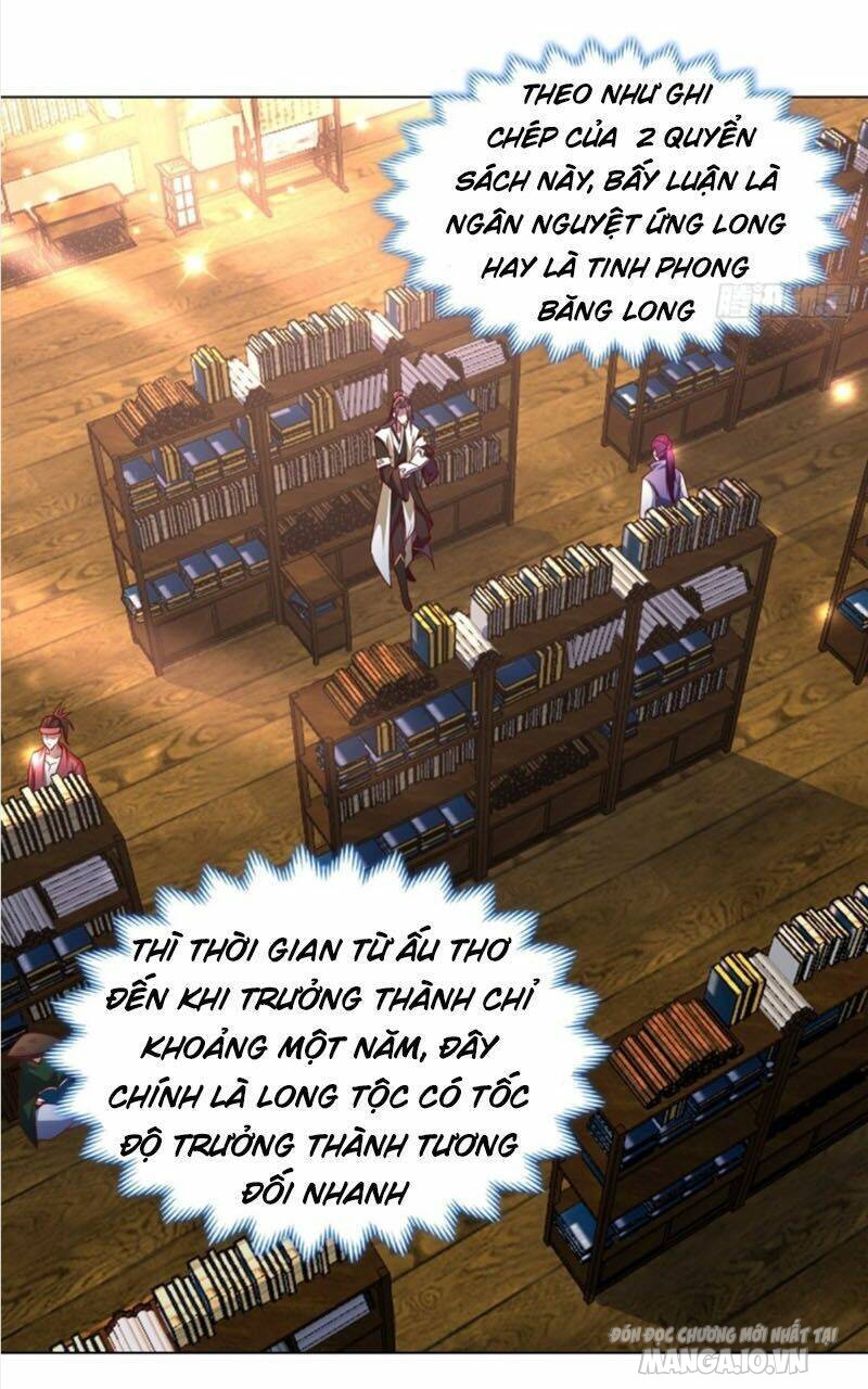 Mục Long Sư Chapter 13 - Trang 2