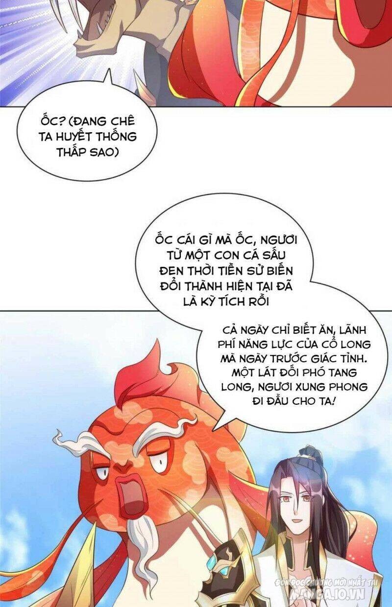 Mục Long Sư Chapter 155 - Trang 2