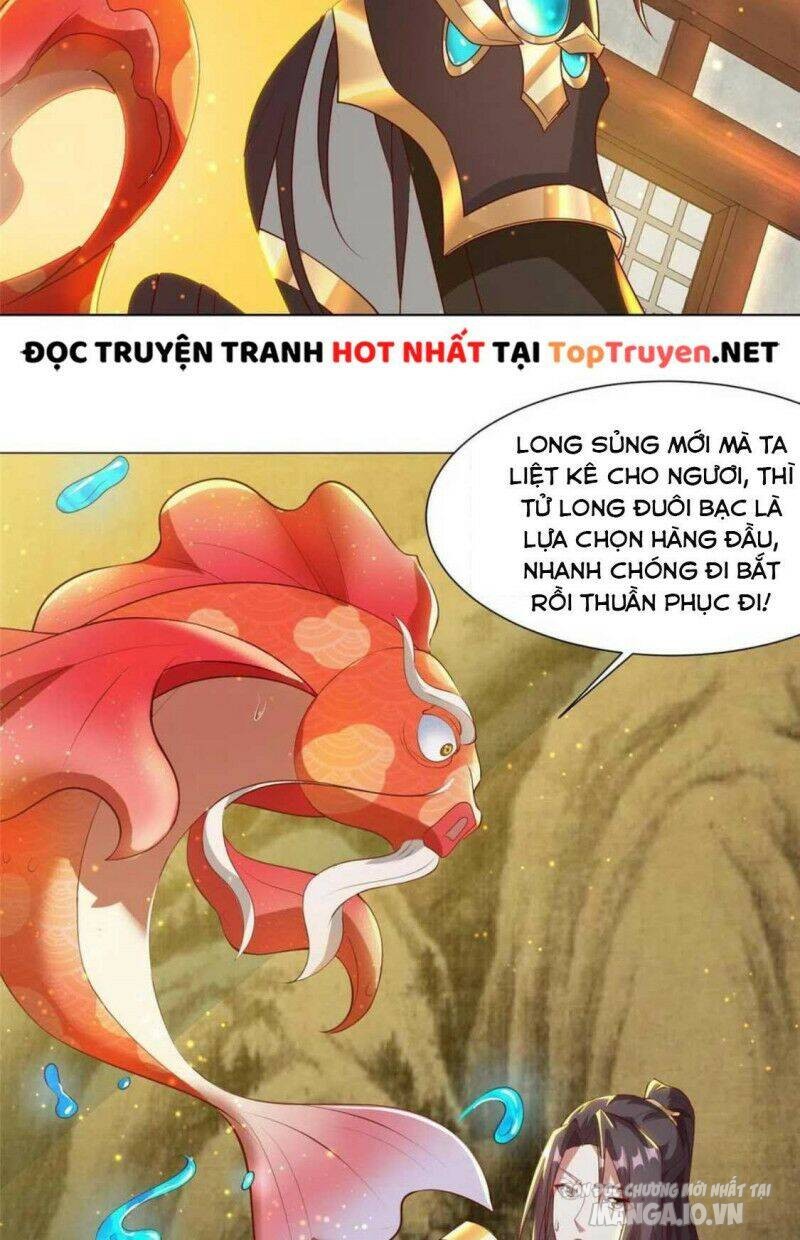 Mục Long Sư Chapter 162 - Trang 2
