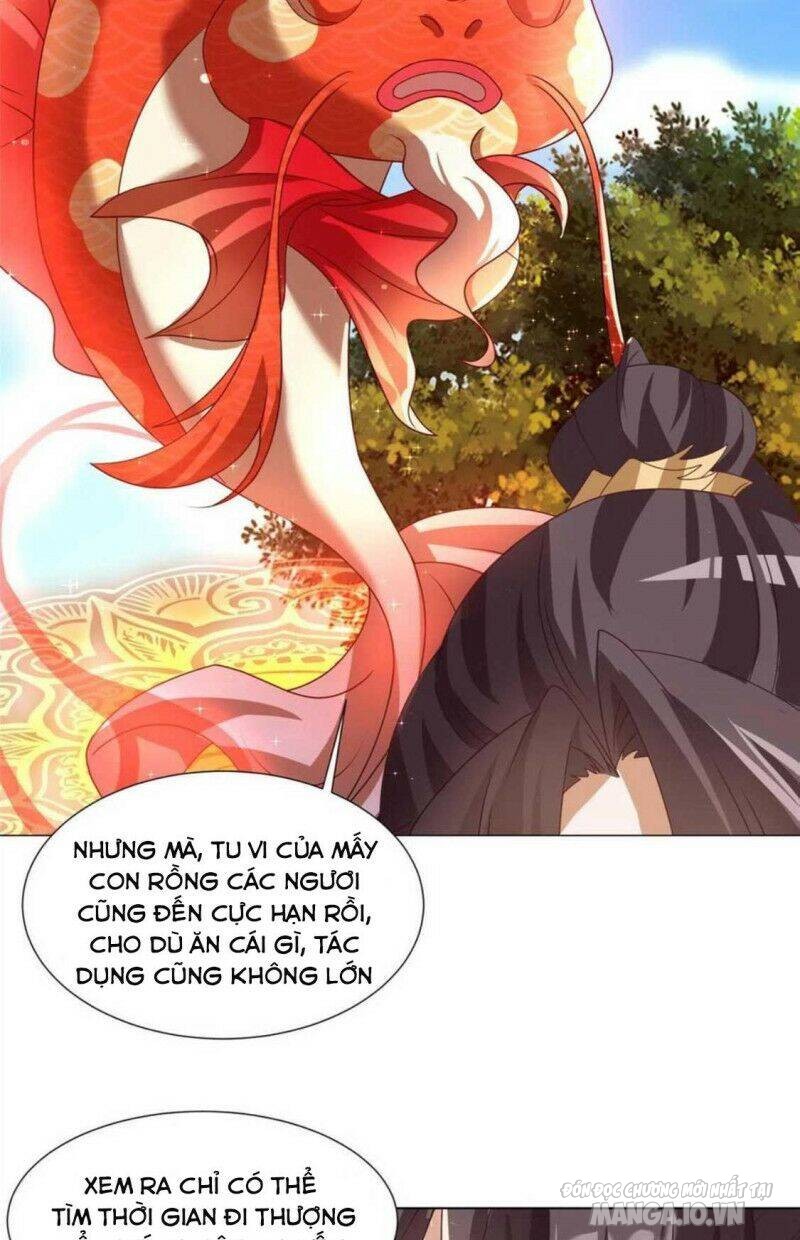 Mục Long Sư Chapter 167 - Trang 2
