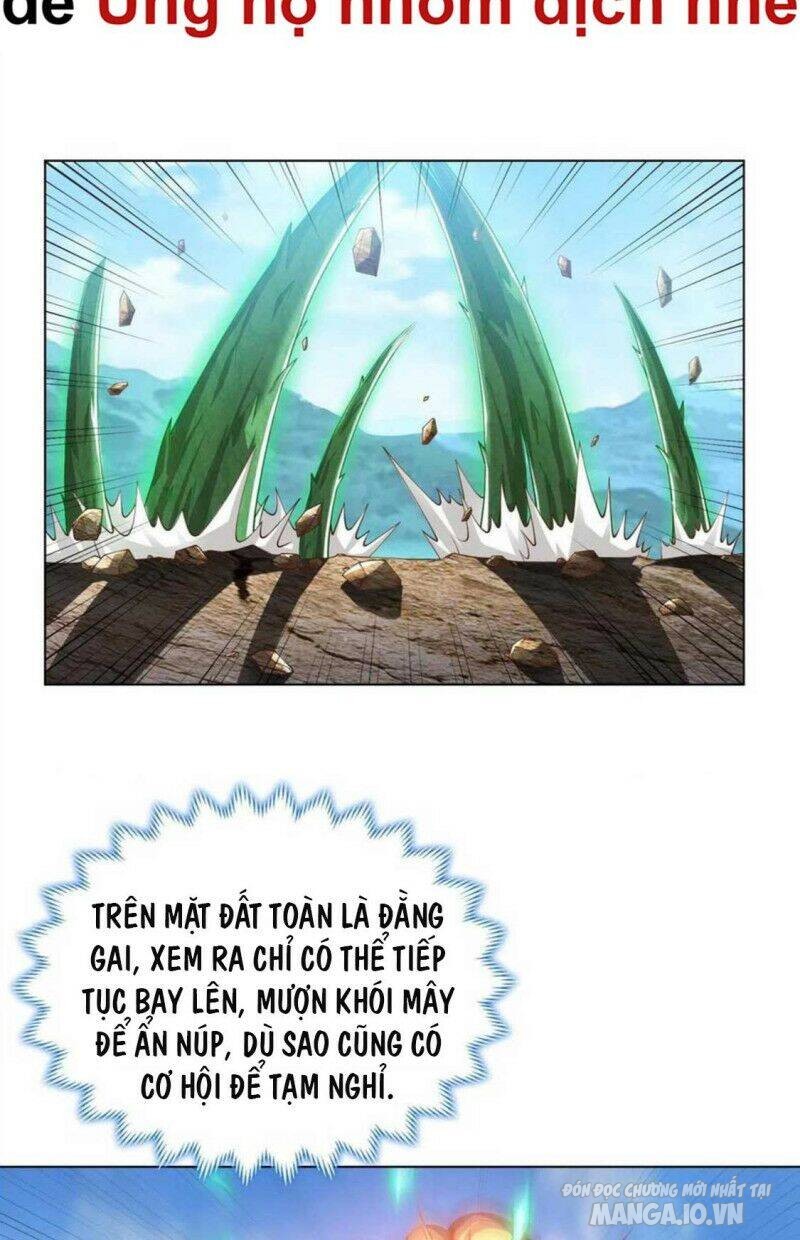 Mục Long Sư Chapter 168 - Trang 2