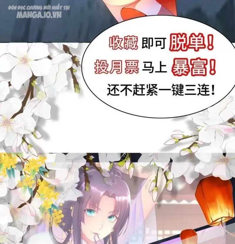 Mục Long Sư Chapter 171 - Trang 2