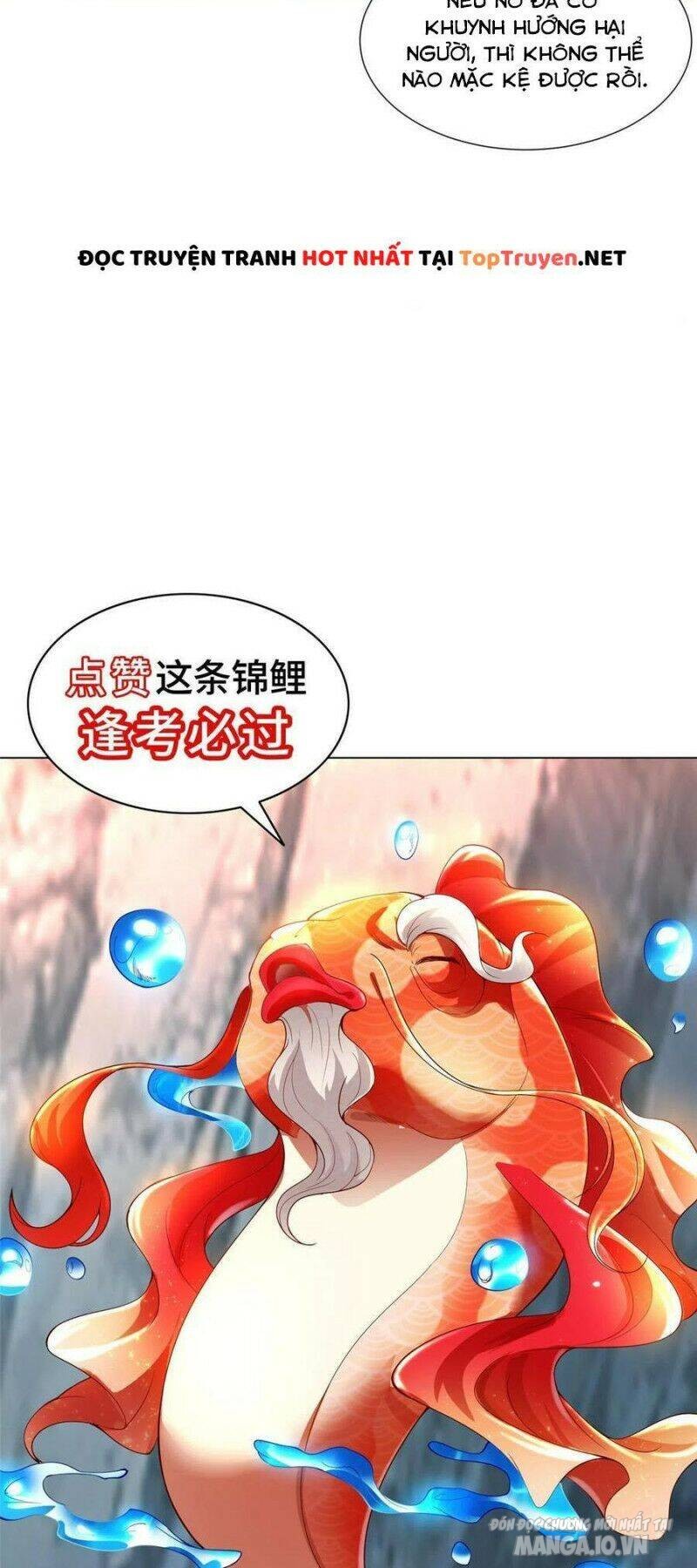 Mục Long Sư Chapter 172 - Trang 2