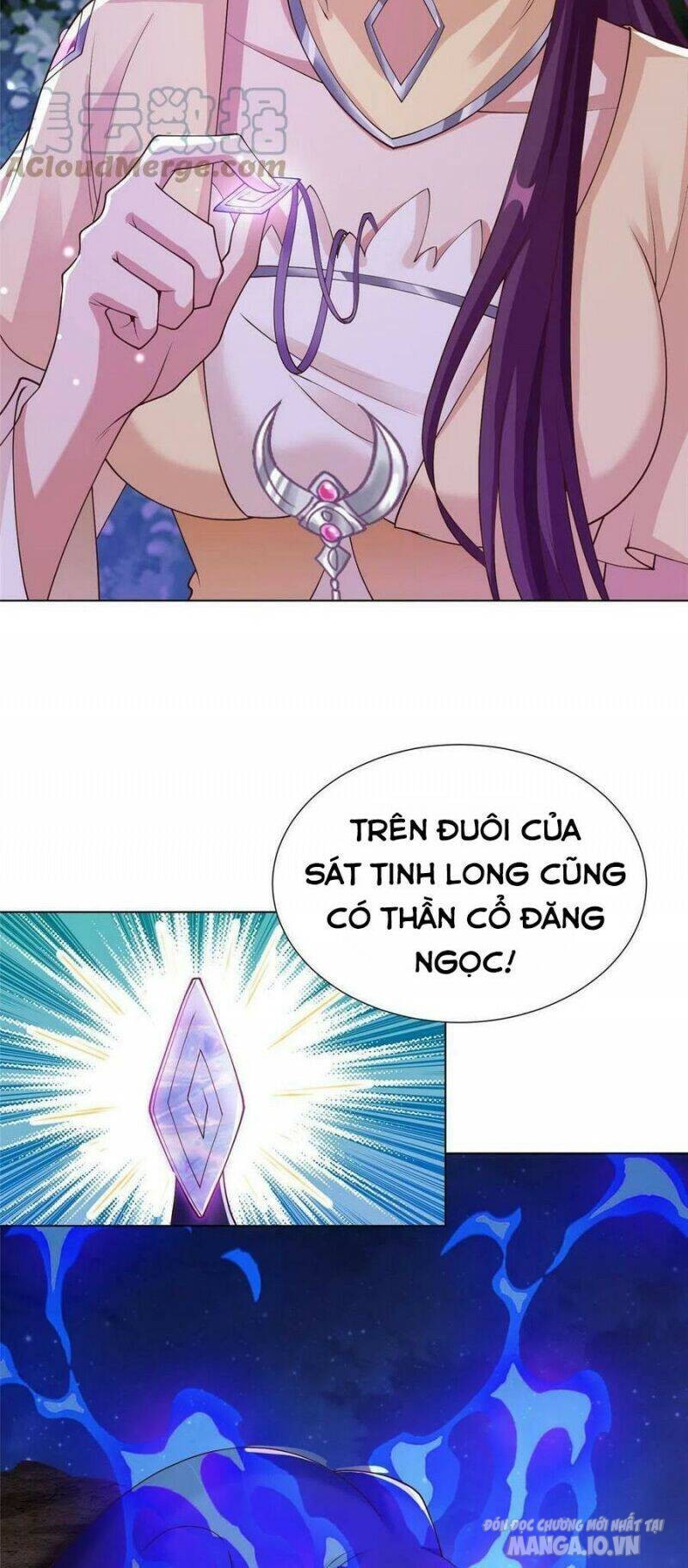 Mục Long Sư Chapter 176 - Trang 2