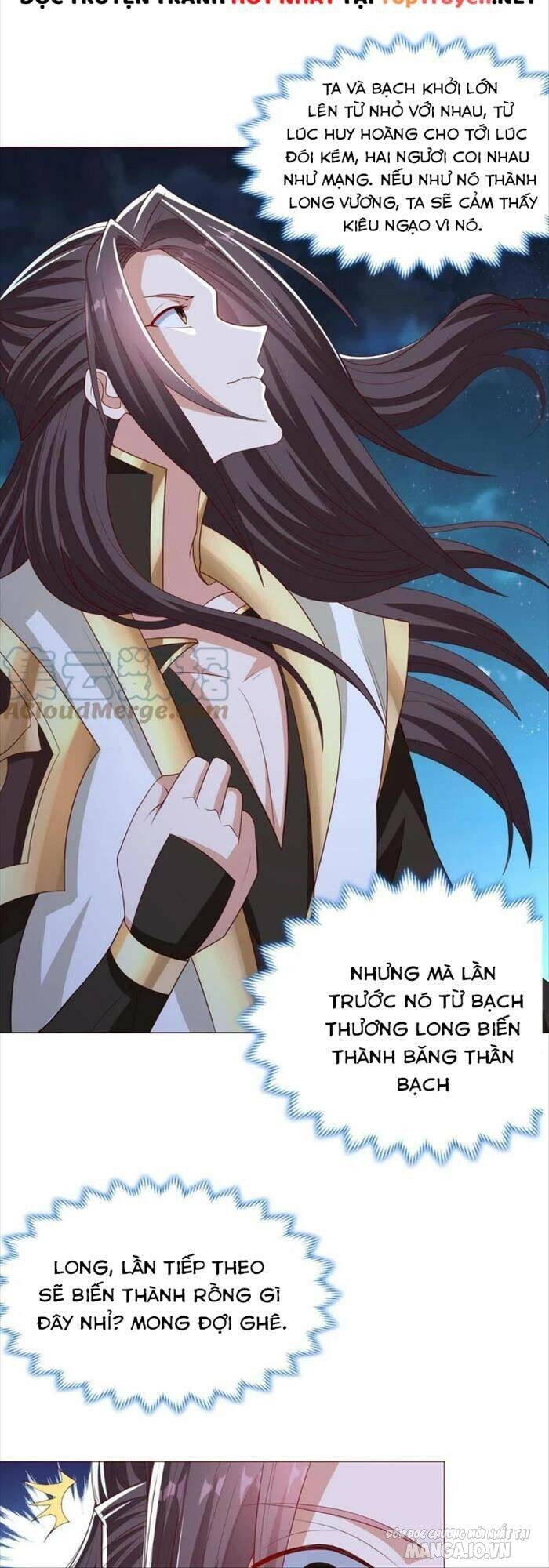 Mục Long Sư Chapter 185 - Trang 2