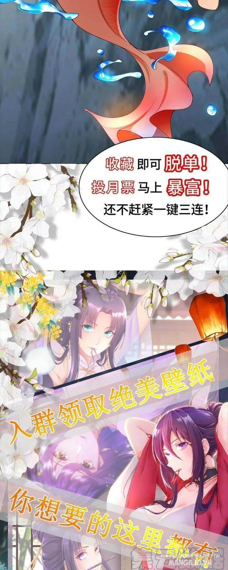Mục Long Sư Chapter 186 - Trang 2