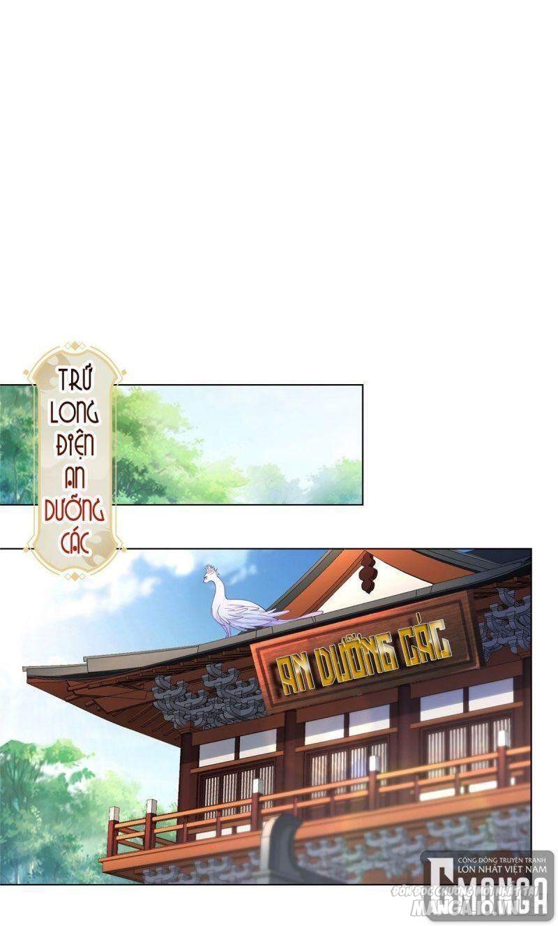 Mục Long Sư Chapter 19 - Trang 2