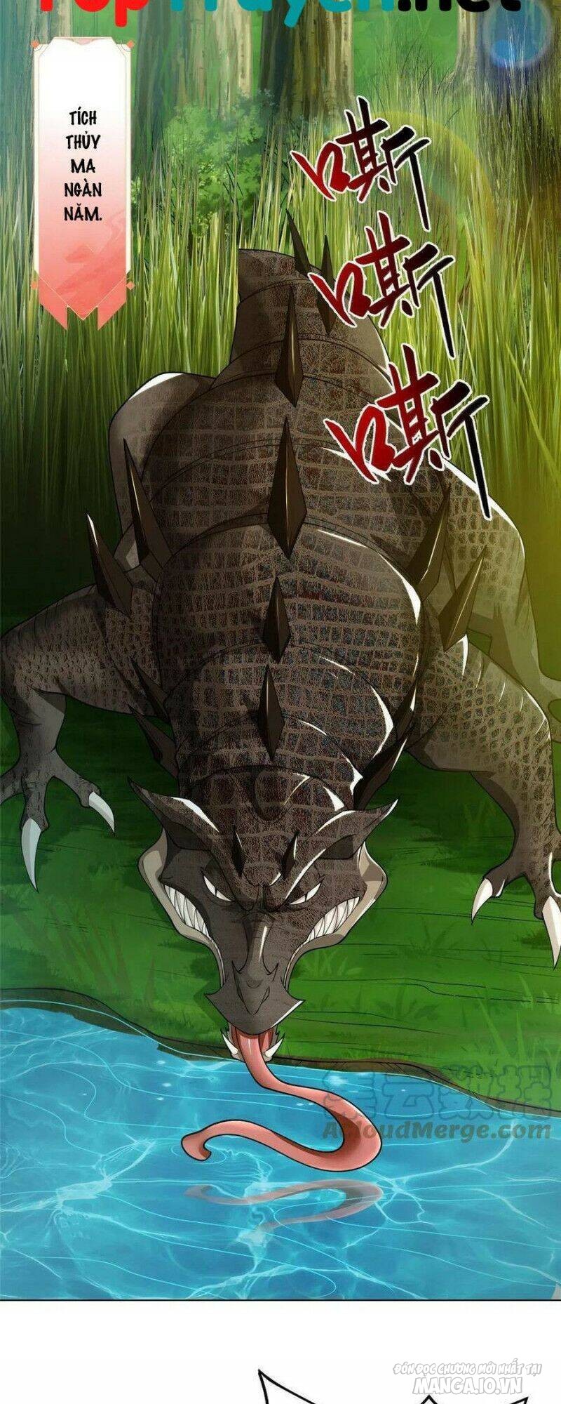 Mục Long Sư Chapter 195 - Trang 2