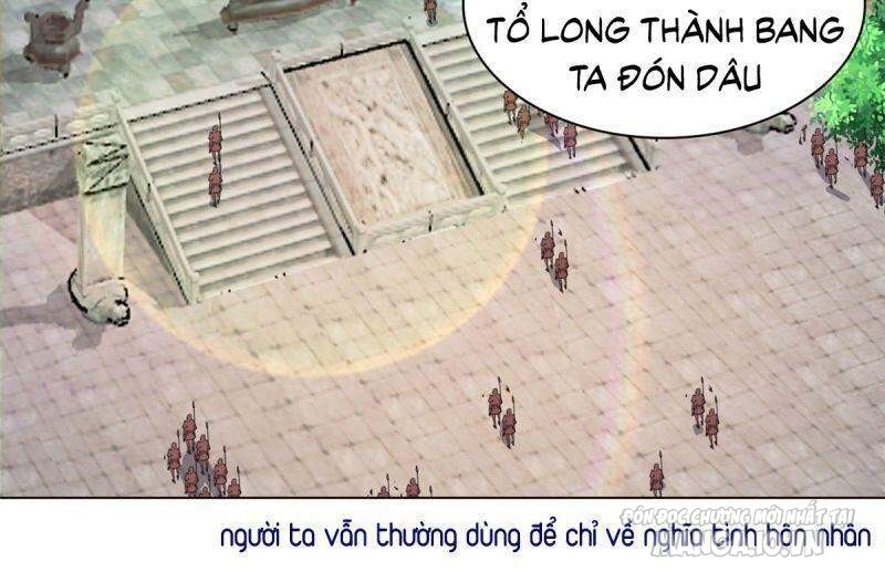 Mục Long Sư Chapter 20 - Trang 2