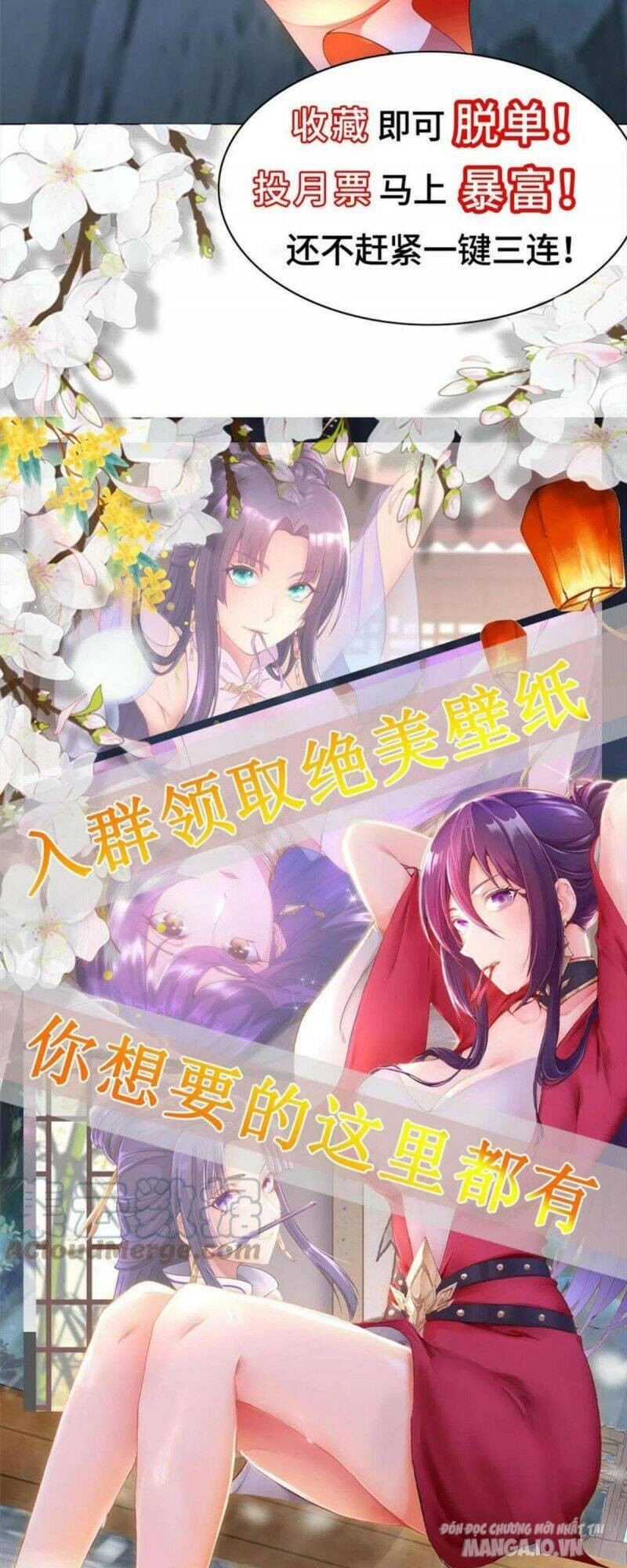 Mục Long Sư Chapter 205 - Trang 2
