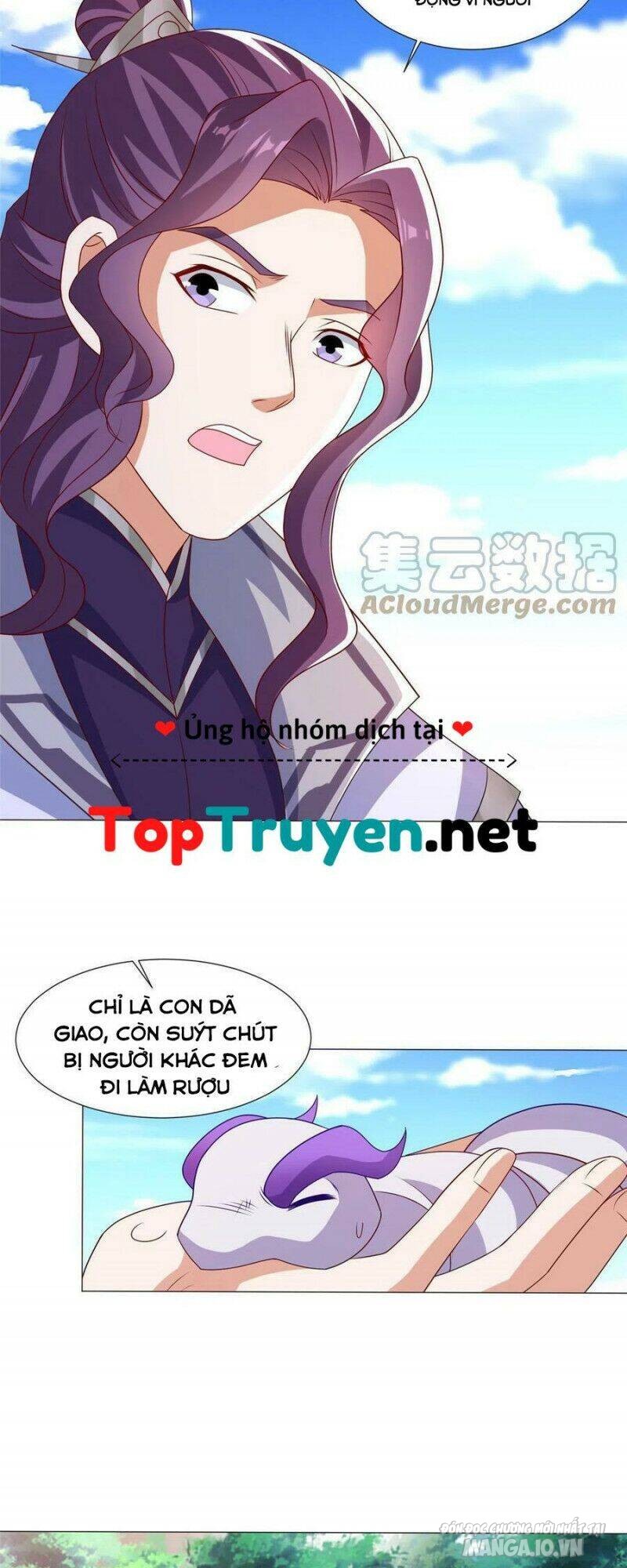 Mục Long Sư Chapter 208 - Trang 2