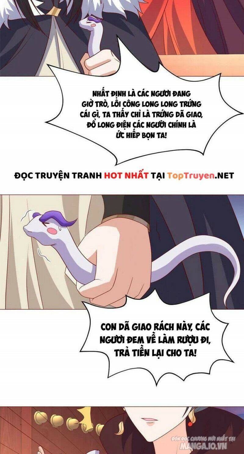 Mục Long Sư Chapter 208 - Trang 2