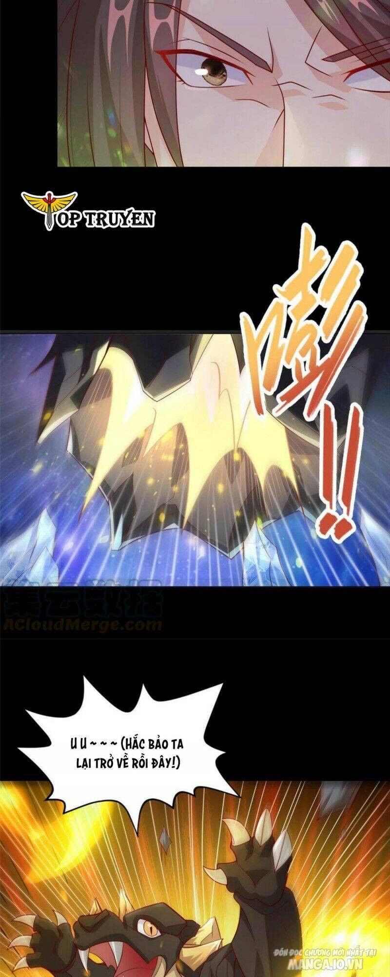 Mục Long Sư Chapter 215 - Trang 2