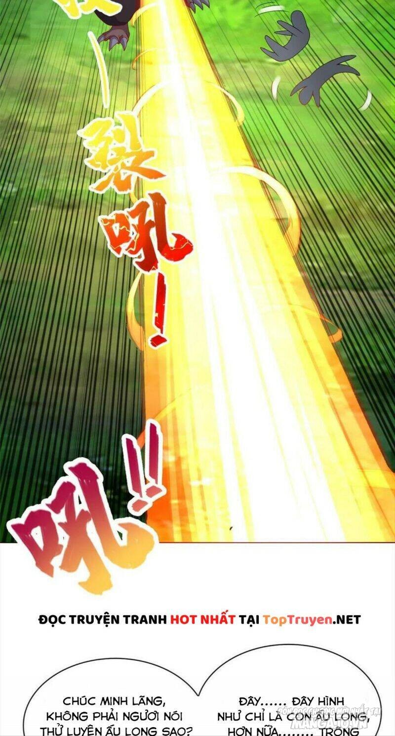 Mục Long Sư Chapter 217 - Trang 2