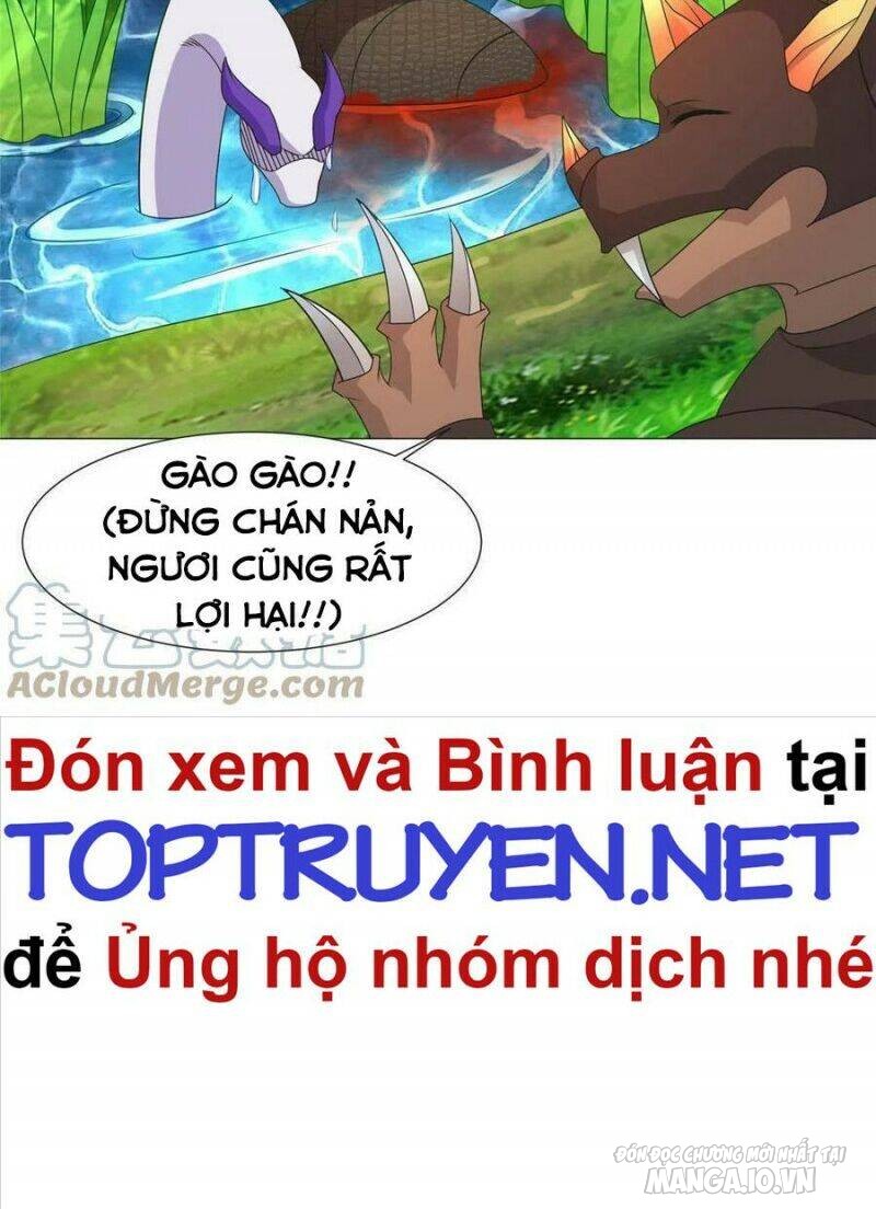 Mục Long Sư Chapter 218 - Trang 2