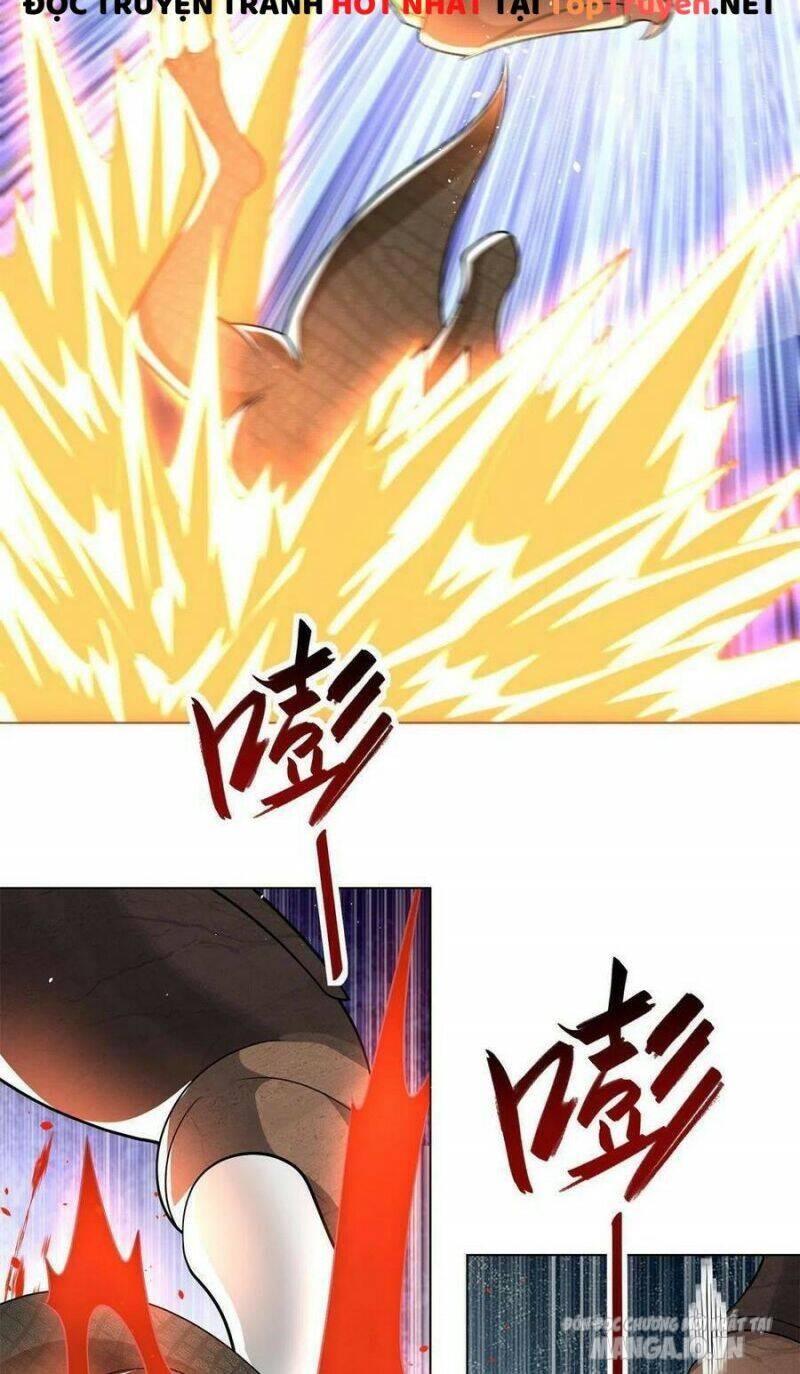 Mục Long Sư Chapter 220 - Trang 2