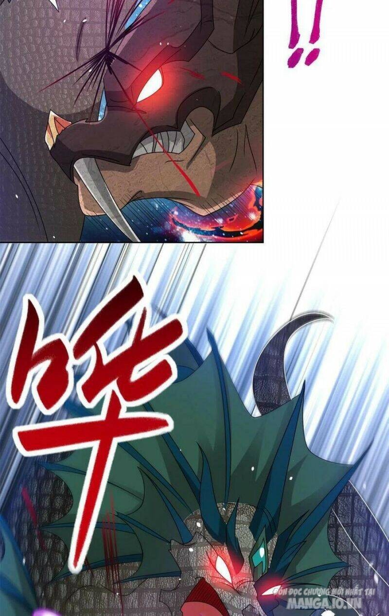 Mục Long Sư Chapter 221 - Trang 2