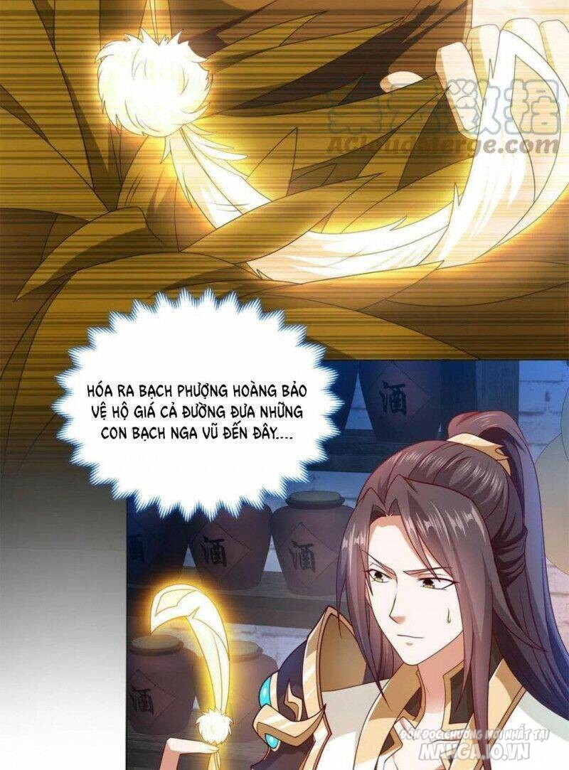 Mục Long Sư Chapter 222 - Trang 2