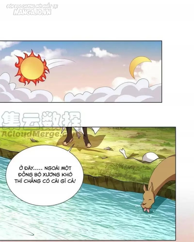 Mục Long Sư Chapter 226 - Trang 2