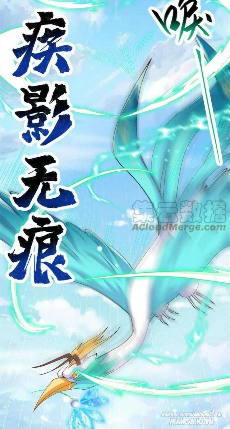 Mục Long Sư Chapter 233 - Trang 2