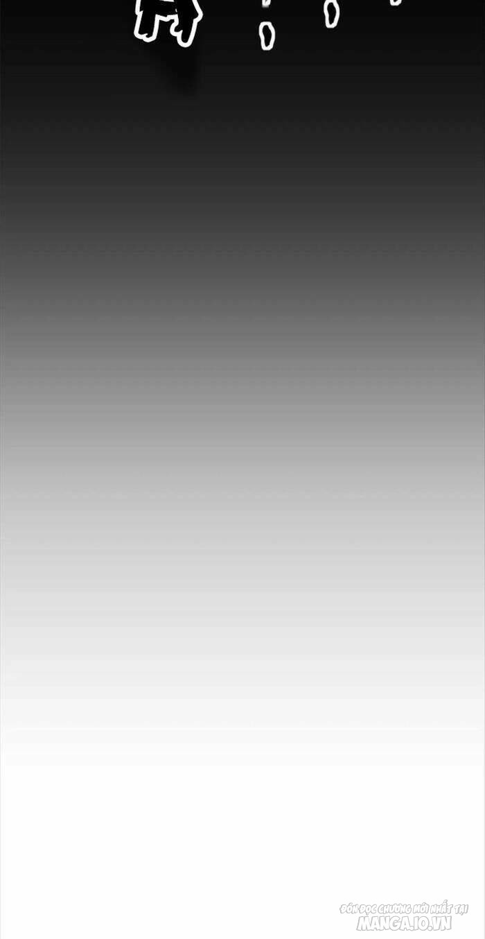 Mục Long Sư Chapter 238 - Trang 2